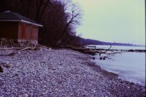 View north along the beach